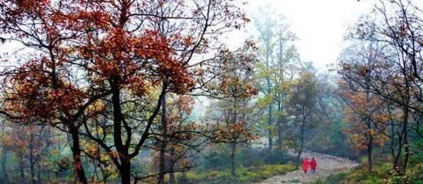 现在天气越来越热了,贵州这几个景点气候宜人,适合避暑,你去过没有呢?