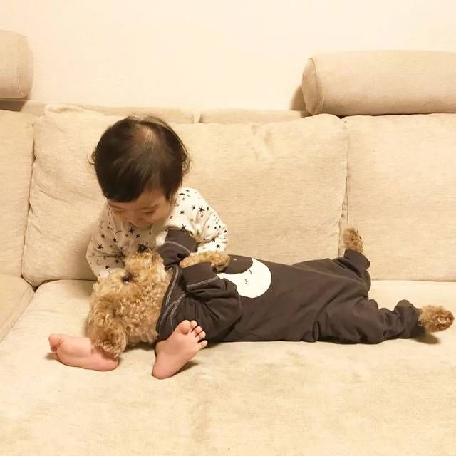  [睡觉]日本小女孩每天和狗狗一起睡觉引千万网友围观这才是晒娃晒宠物的最高境界