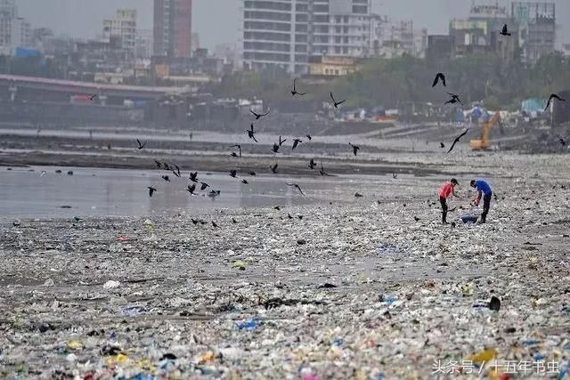 垃圾组成的画作！身为人类，我们能配得上地球的美景吗？