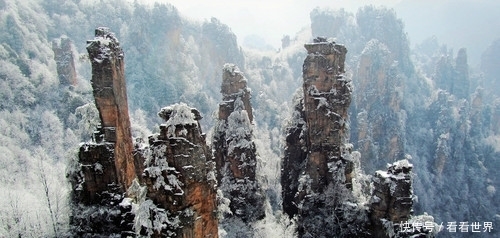 来张家界领略大自然的鬼斧神工,看“中国山水画的原本”