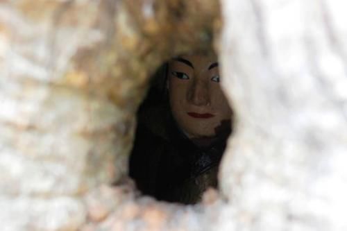  唯一：千年树洞内竟藏着一尊佛像，唯一一棵“树抱佛”，形成原