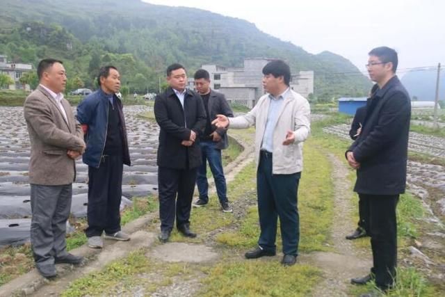  「挂牌」秦智坤到煎茶龙泉挂牌督战脱贫攻坚工作