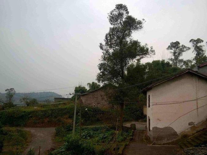 新土地法修改, 宅基地有三大调整, 两类将收回, 一类补偿将提高!