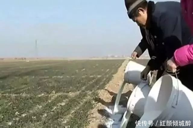 日本人在中国租了1500亩地，闲置5年任荒草疯长，但结果让所有人