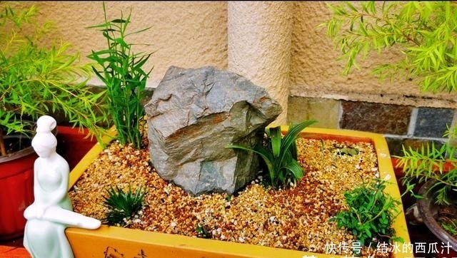 『盘子』用石头盘子来养花，变成小盆景，价值能翻好几倍