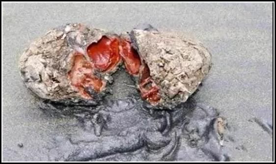 用图告诉你，世界鬼斧神工的美丽，是有多疯狂！