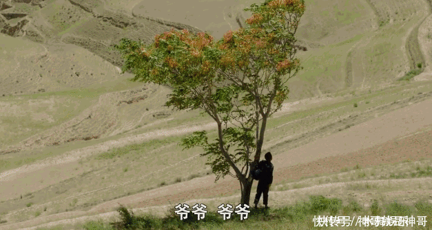  #吴先生#被票房打脸两次的国产“烂片”，治愈无数虚伪的成年人