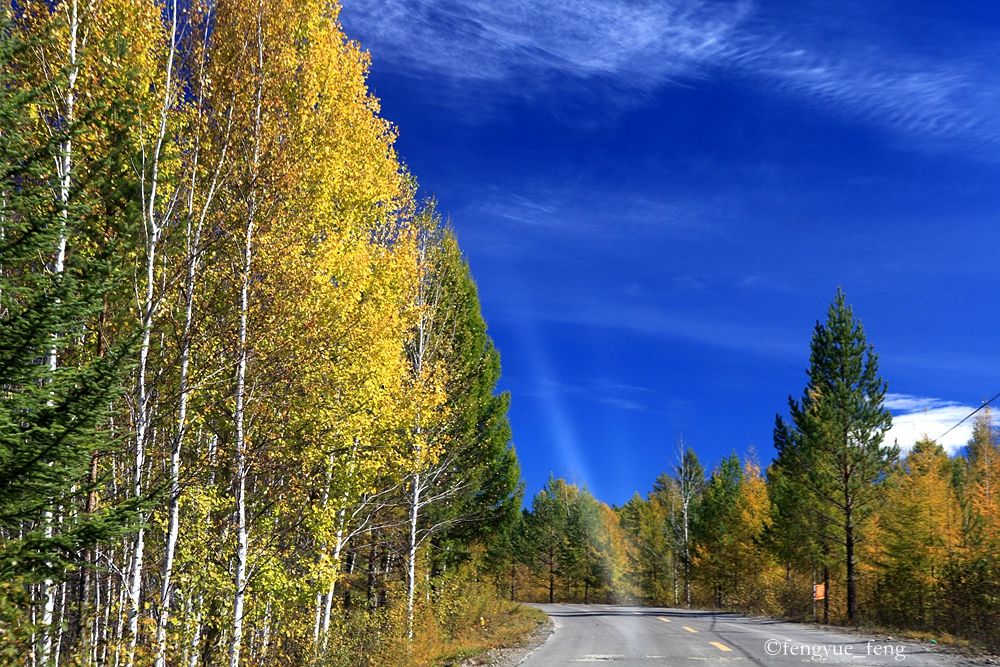 大兴安岭特大火灾澳洲火灾