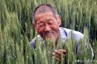 2019年农村新增一补贴比粮补高，农民必须了解到，你领了吗?