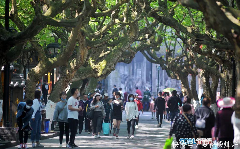  都江堰：境界丨四月芳菲 畅游都江堰
