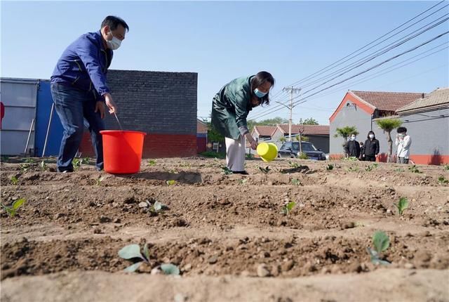 「新路子」北京:美丽乡村启动“百蔬计划”拓宽庭院增收新路子