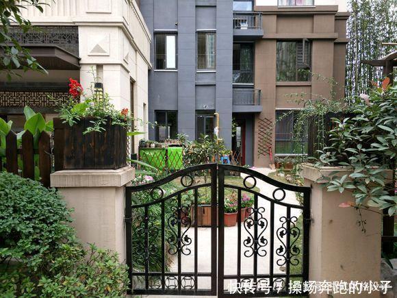 「李小姐还」她将荒芜的后院,改造成最美花园,完工一年后,让人惊艳
