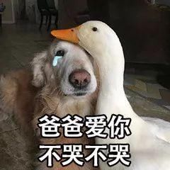  【医保】社保缴15年和25年，差别可大了