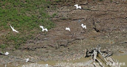 世界第一大河，由于太大很长时间未取名，长江不及它一条支流！