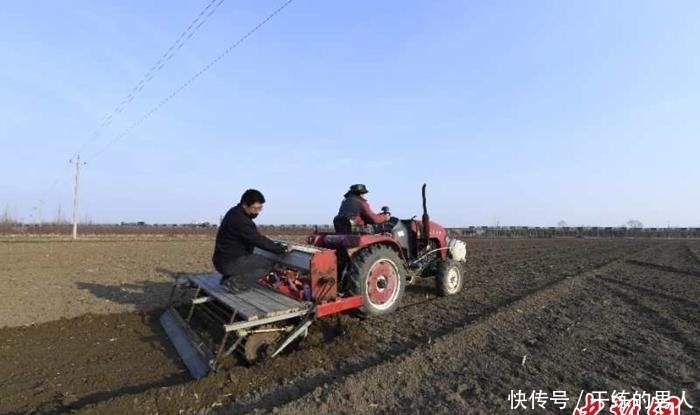  [牛春富]河北种粮大户的春耕：不离乡土 种粮“生金”