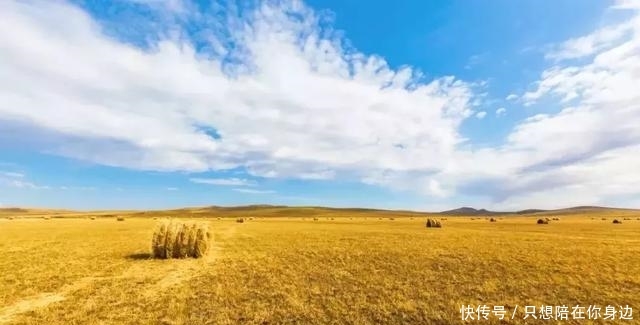 呼伦贝尔的秋天，美的太高级