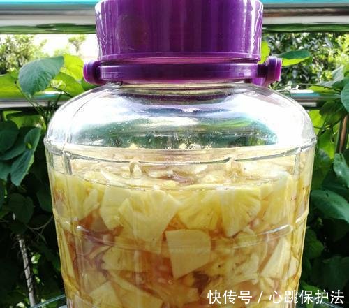  【做肥料】吃剩的菠萝和菠萝皮千万不要扔！简单两步教你做月季花肥！