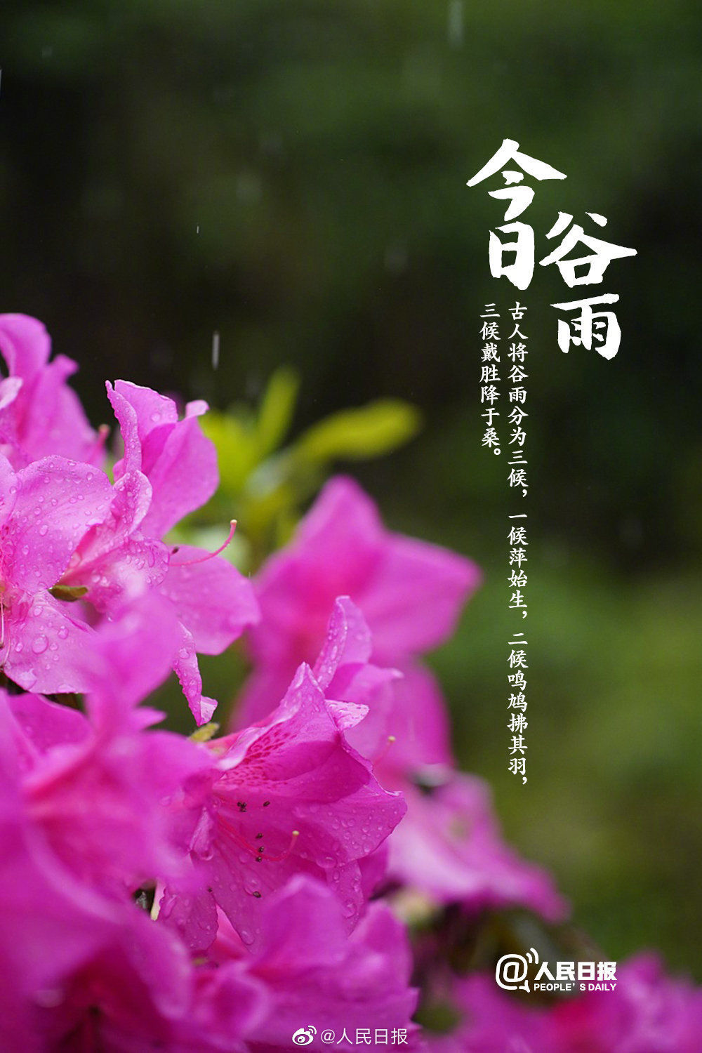  迎接@今日谷雨，你准备好迎接夏天了吗？