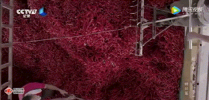 《航拍中国》四川篇来了！高空鸟瞰的家乡这么美，四川人转起来！