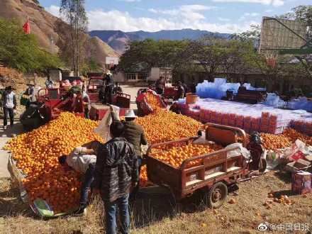  和沃■云南丽江全丽以赴支援湖北武汉 325吨猪肉土豆和沃柑发往
