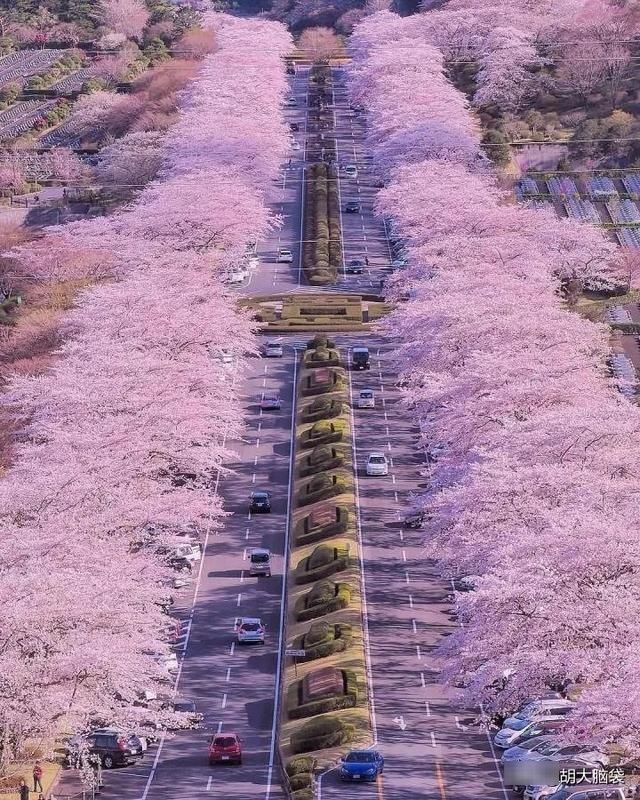  『城市』城市不缺少美,但缺少发现美的眼睛第二弹