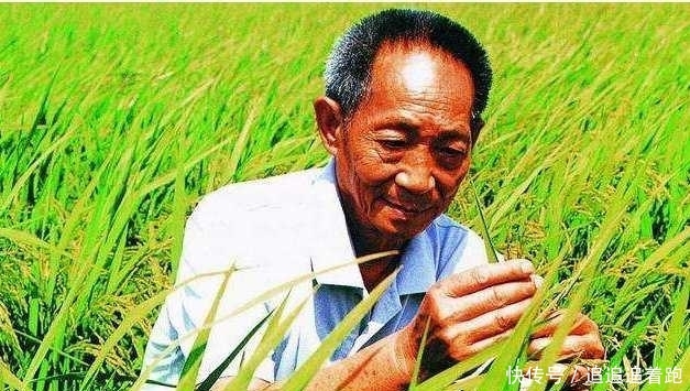  大国|同样是人口大国，为何中国满世界买粮食，印度却不断出口卖