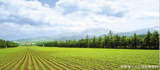 明年开始，国家“严抓”农村以下情况，一经发现“着重处罚”！