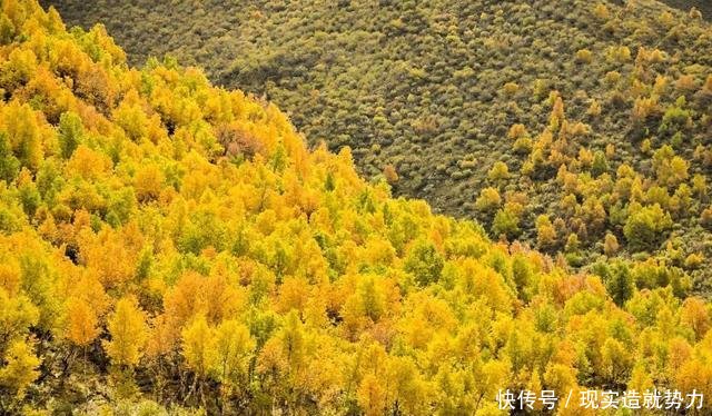 别错过秋天的林芝，景色堪比喀纳斯，最不该错过秋色童话世界
