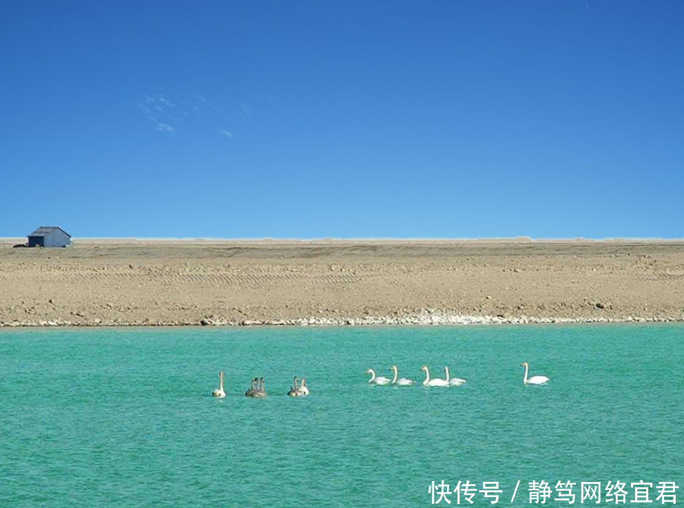  #湖泊#死亡之海罗布泊探明一种资源，沙漠戈壁出现湖泊，水从何