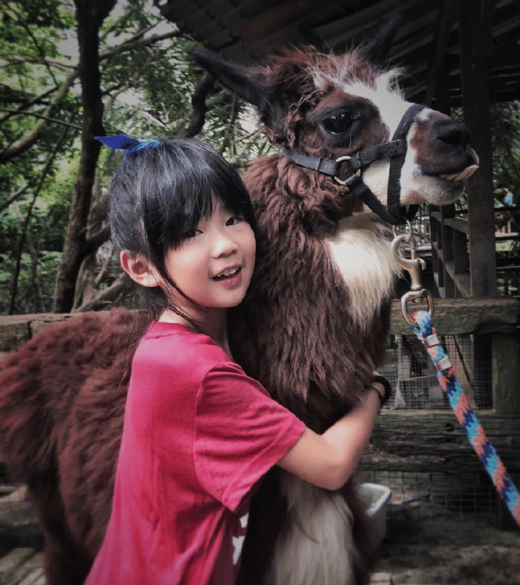  『吴速玲』曹格庆祝老婆吴速玲41岁生日，文案令人感动，结婚11年感情依旧