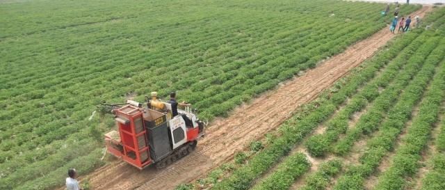  十年|未来十年农村什么最值钱？