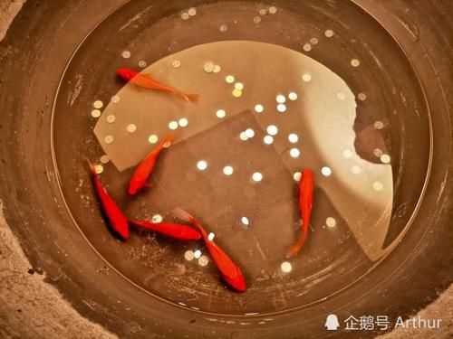 9月去哪儿玩？北京最新网红打卡地和平菓局，快来！