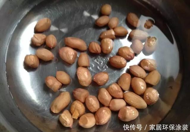 『玉米棒子』小清新的绿植盆栽,花生、玉米都能做!种子盆栽就是这么简单!