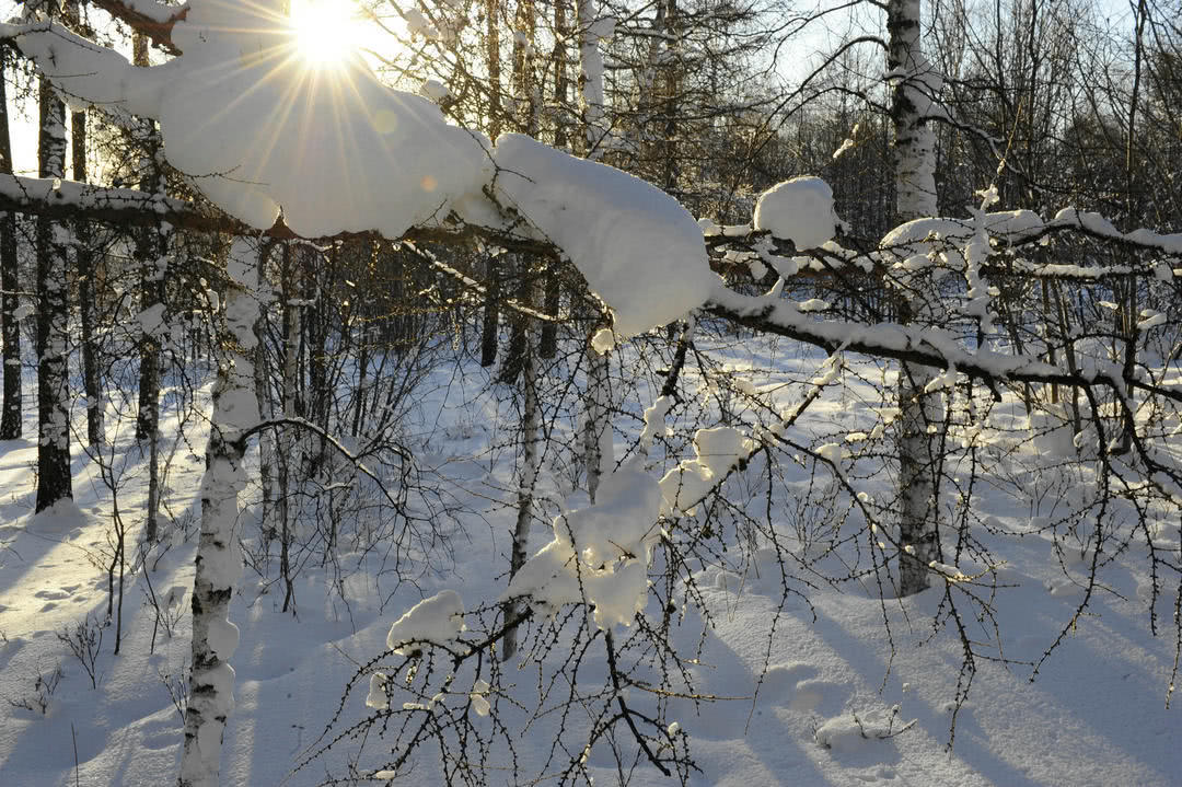 中国7个月都在下雪的地方，游客称踩雪是罪过，你觉得会被开发吗