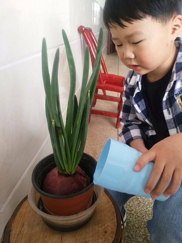  『播撒』云端播撒希望，楚湘萌娃争做家庭种植小能手