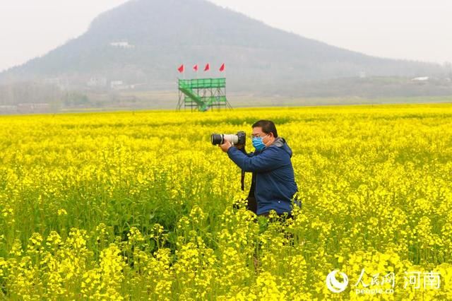  油菜花：河南光山：万亩花海惹人醉