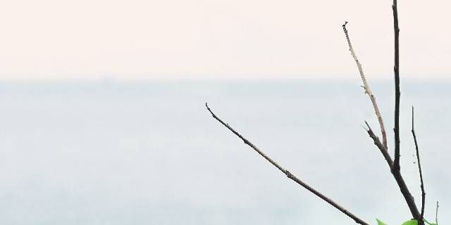 「灵感」微信最热门的短句,激发灵感的句子,献给疲惫的你