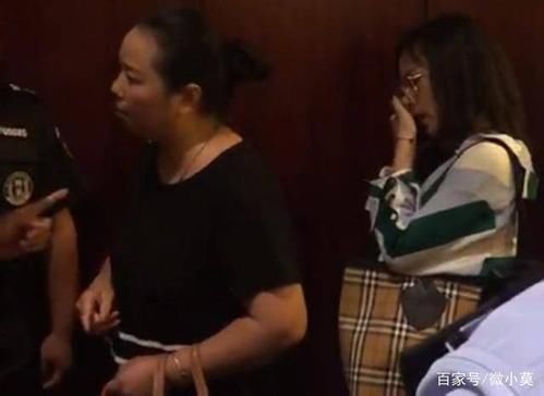 为什么没有处罚涉事网红？杭州公安回应遛狗事件