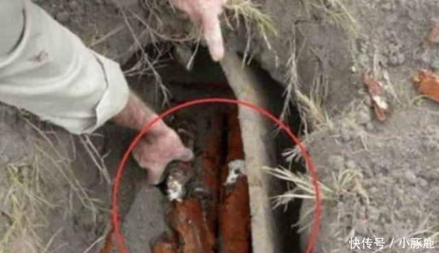 男子耕地挖出了大铁盒, 打开后不淡定了, 直接就报了警