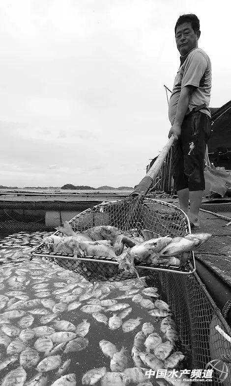 要热到40-45℃？！高温热害席卷22省