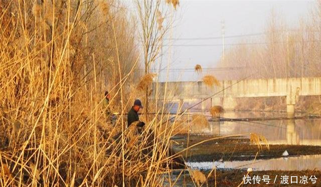 利弊■钓箱、钓椅、钓台利弊剖析,准备入手的钓友,建议来看一看