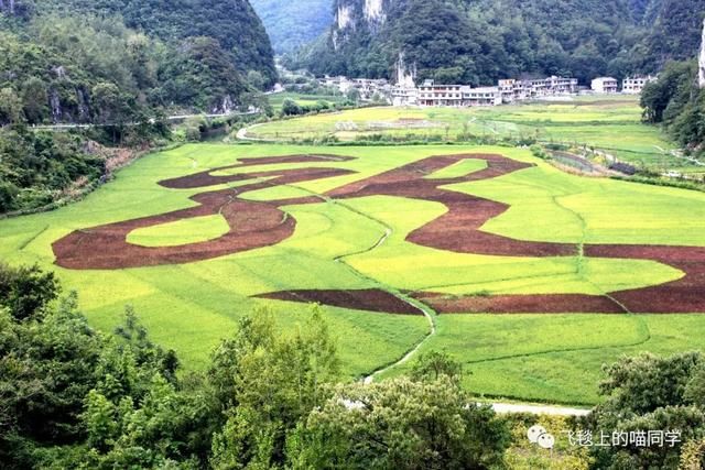 贵州龙宫5A景区，千万不要去！