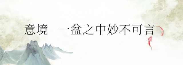 二十亩陈氏庄园，三百盆景错落其间，他习祖传手艺34年，山水诗话