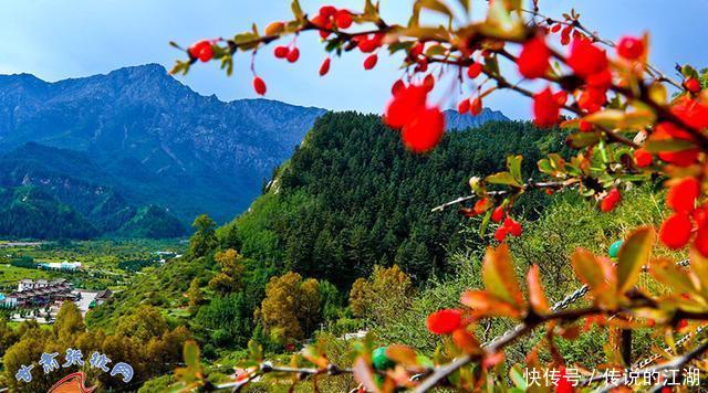 张掖：祁连山秋色如画 游客流连忘返