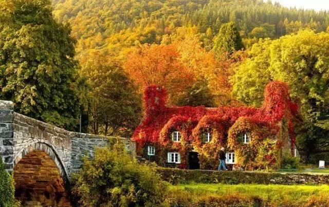 我想有个小院，欣赏四季美景