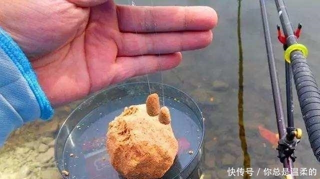  【钓灵】走水钓鱼，是钓灵还是钓顿？你怎么看