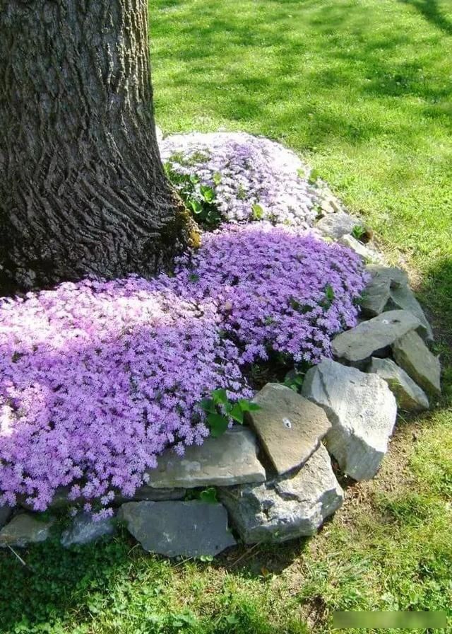  花钱：捡来的玻璃瓶插在花池边，美观还不花钱，邻居都跑来参观