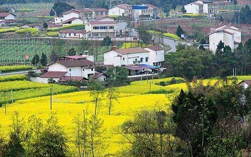 四川这座城市发展迅猛，人口达540多万，是你的家乡吗