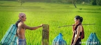  「种植」在农村可以包地创业吗？种植什么能赚钱？