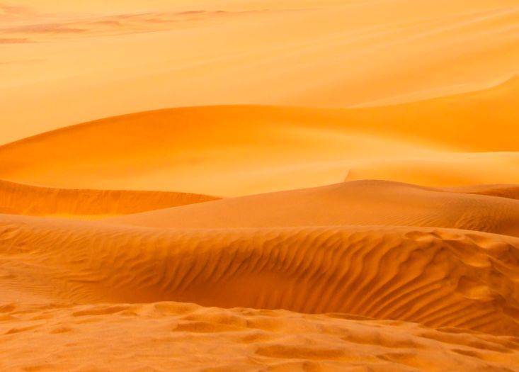 世界上最神奇的沙漠,长满多肉和鲜花,游客:怕不是个假的?